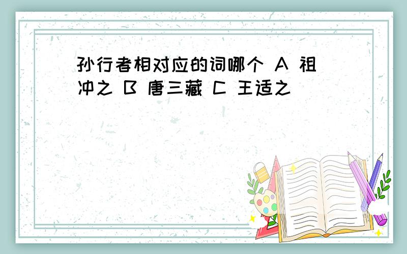 孙行者相对应的词哪个 A 祖冲之 B 唐三藏 C 王适之