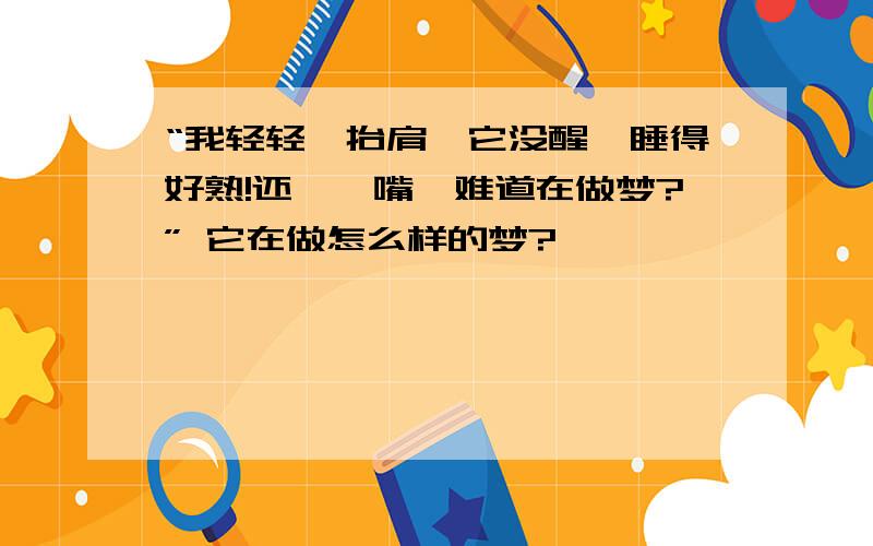 “我轻轻一抬肩,它没醒,睡得好熟!还咂咂嘴,难道在做梦?” 它在做怎么样的梦?