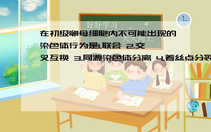 在初级卵母细胞内不可能出现的染色体行为是1.联会 2.交叉互换 3.同源染色体分离 4.着丝点分裂为什么