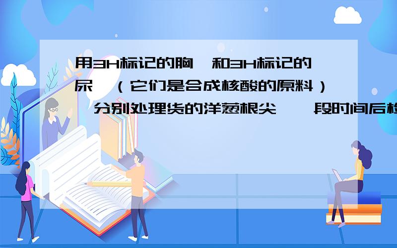 用3H标记的胸苷和3H标记的尿苷（它们是合成核酸的原料）,分别处理货的洋葱根尖,一段时间后检测大分子放射性,最可能的结果是（ ）正确答案是“前者主要出现在分生区细胞,后者出现在根