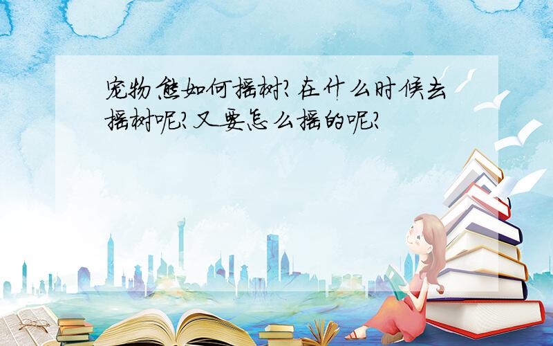 宠物熊如何摇树?在什么时候去摇树呢?又要怎么摇的呢?