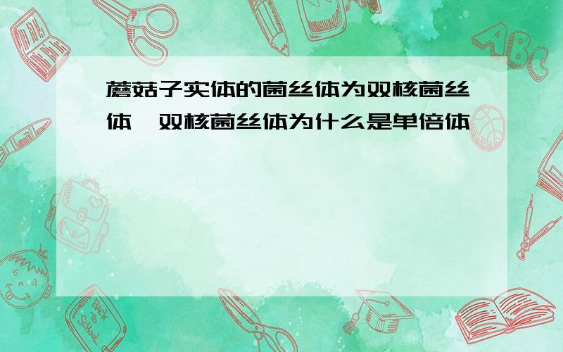 蘑菇子实体的菌丝体为双核菌丝体,双核菌丝体为什么是单倍体