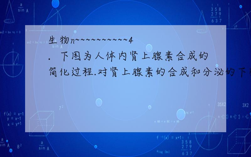 生物n~~~~~~~~~~4．下图为人体内肾上腺素合成的简化过程.对肾上腺素的合成和分泌的下列叙述中,正确的是A．与肾上腺素的合成和分泌有关的细胞器有核糖体、内质网、高尔基体、线粒体B．外