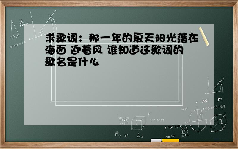 求歌词：那一年的夏天阳光落在海面 迎着风 谁知道这歌词的歌名是什么