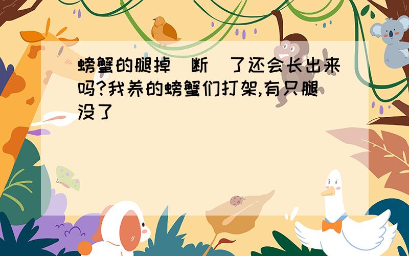 螃蟹的腿掉（断）了还会长出来吗?我养的螃蟹们打架,有只腿没了