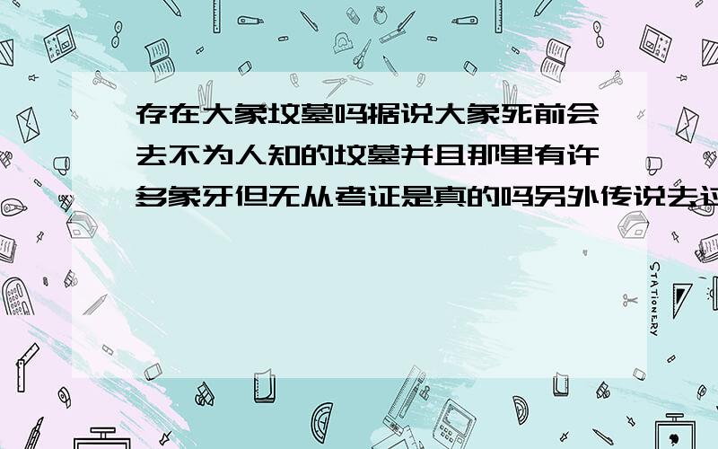 存在大象坟墓吗据说大象死前会去不为人知的坟墓并且那里有许多象牙但无从考证是真的吗另外传说去过大象坟墓的人会受诅咒