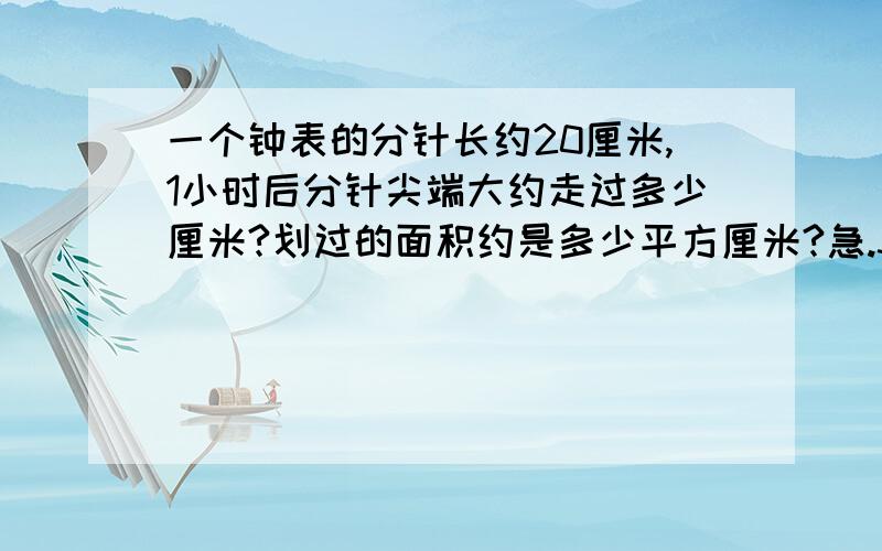 一个钟表的分针长约20厘米,1小时后分针尖端大约走过多少厘米?划过的面积约是多少平方厘米?急.30分钟内