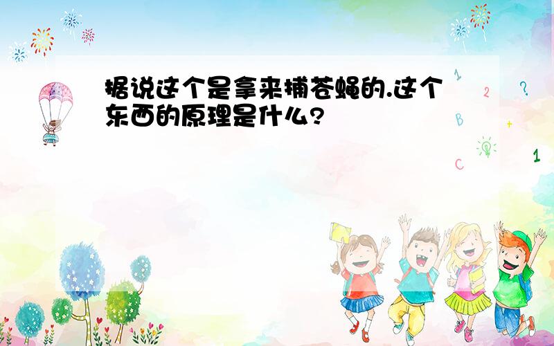 据说这个是拿来捕苍蝇的.这个东西的原理是什么?