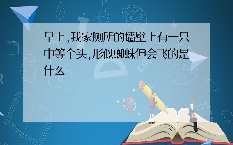 早上,我家厕所的墙壁上有一只中等个头,形似蜘蛛但会飞的是什么