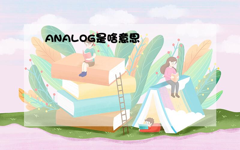 ANALOG是啥意思