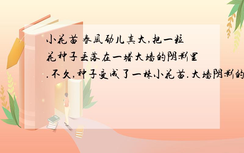 小花苗 春风劲儿真大,把一粒花种子丢落在一堵大墙的阴影里.不久,种子变成了一株小花苗.大墙阴影的外边,好多小树、小草都长得生机勃勃,只有小花苗又瘦又小,它难过得哭起来.“小花苗,你