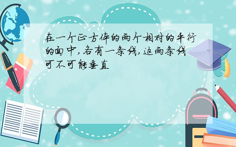 在一个正方体的两个相对的平行的面中,各有一条线,这两条线可不可能垂直