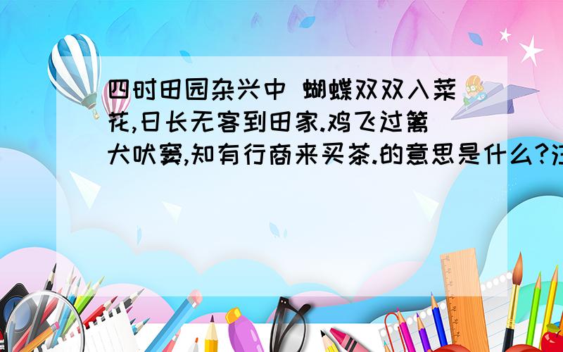 四时田园杂兴中 蝴蝶双双入菜花,日长无客到田家.鸡飞过篱犬吠窦,知有行商来买茶.的意思是什么?注意：是蝴蝶双双入菜花,日长无客到田家.鸡飞过篱犬吠窦,知有行商来买茶.的意思,不要其