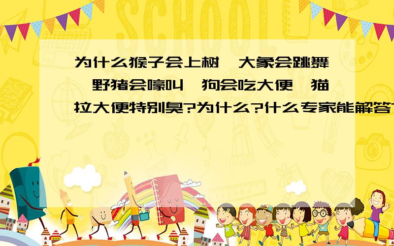 为什么猴子会上树,大象会跳舞,野猪会嚎叫,狗会吃大便,猫拉大便特别臭?为什么?什么专家能解答?..