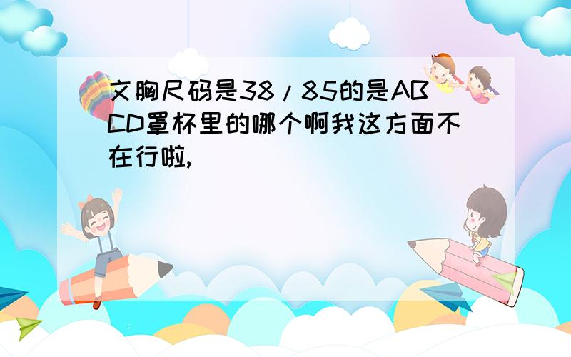 文胸尺码是38/85的是ABCD罩杯里的哪个啊我这方面不在行啦,