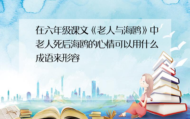 在六年级课文《老人与海鸥》中老人死后海鸥的心情可以用什么成语来形容