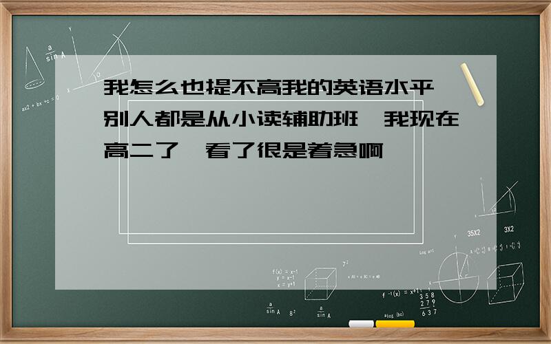 我怎么也提不高我的英语水平,别人都是从小读辅助班,我现在高二了,看了很是着急啊