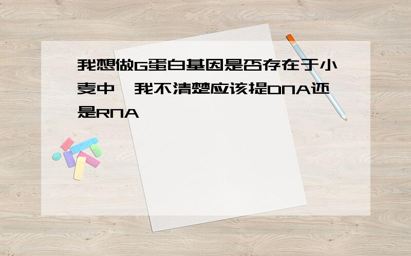 我想做G蛋白基因是否存在于小麦中,我不清楚应该提DNA还是RNA