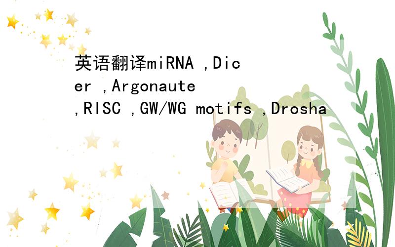 英语翻译miRNA ,Dicer ,Argonaute ,RISC ,GW/WG motifs ,Drosha