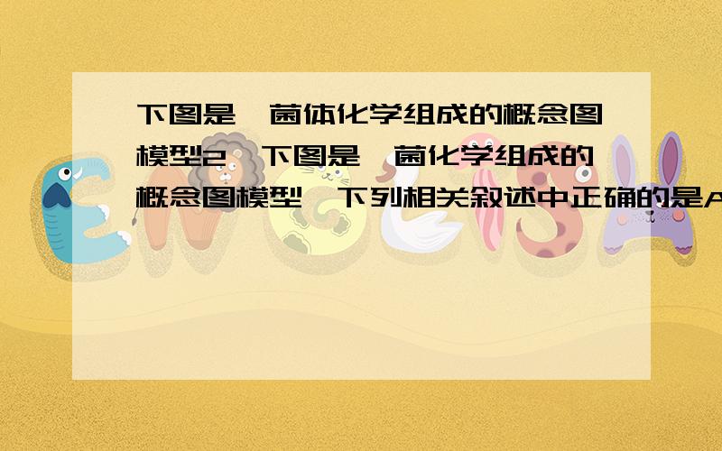 下图是噬菌体化学组成的概念图模型2、下图是噬菌化学组成的概念图模型,下列相关叙述中正确的是A、a的种类约有20种,b的种类有4种 B、a是噬菌体的遗传物质,b不是C、A、B分子都具有多样性