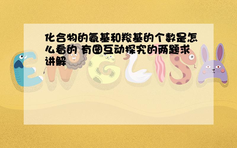 化合物的氨基和羧基的个数是怎么看的 有图互动探究的两题求讲解