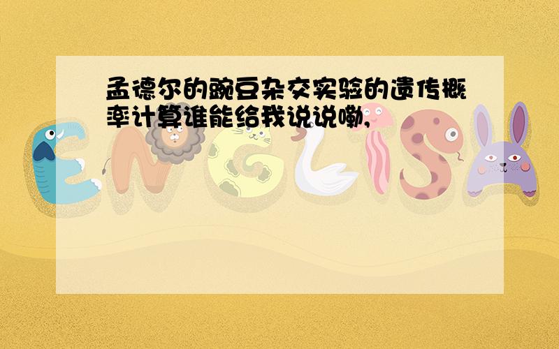 孟德尔的豌豆杂交实验的遗传概率计算谁能给我说说嘞,