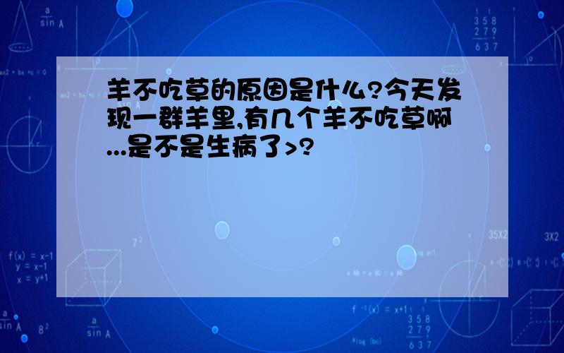 羊不吃草的原因是什么?今天发现一群羊里,有几个羊不吃草啊...是不是生病了>?