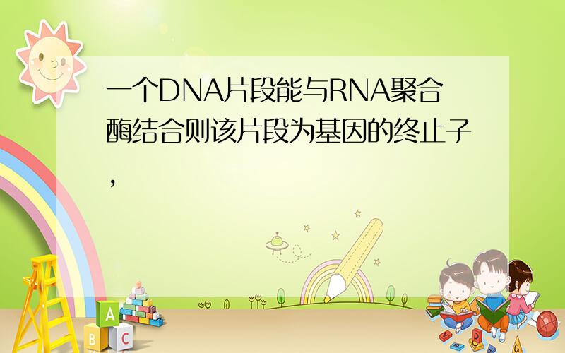 一个DNA片段能与RNA聚合酶结合则该片段为基因的终止子,