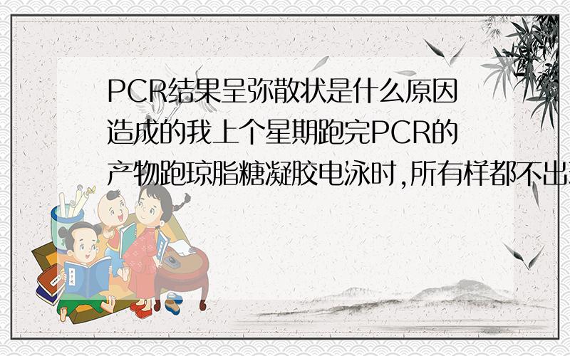 PCR结果呈弥散状是什么原因造成的我上个星期跑完PCR的产物跑琼脂糖凝胶电泳时,所有样都不出现条带,而是弥散状的,从投拖到尾,而maker却是好的,说明不是电泳的问题,我把所有的酶,buffer,Mg+都