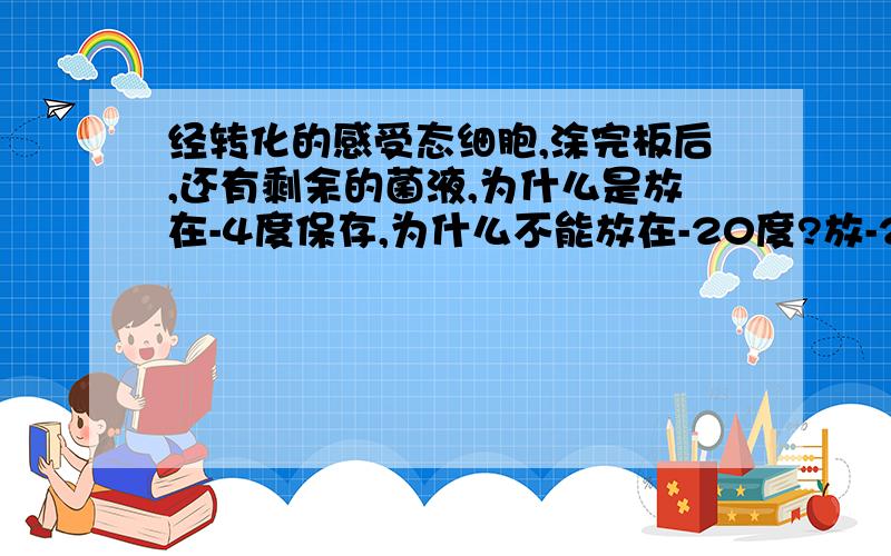 经转化的感受态细胞,涂完板后,还有剩余的菌液,为什么是放在-4度保存,为什么不能放在-20度?放-20度说是会冻裂，到底是为什么？