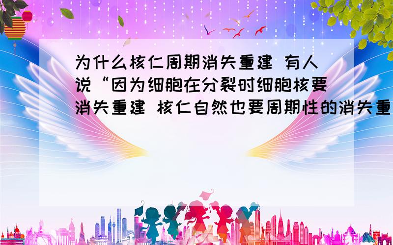 为什么核仁周期消失重建 有人说“因为细胞在分裂时细胞核要消失重建 核仁自然也要周期性的消失重建”但是 细胞没有周期消失重建吧 只是分裂成两个了吧.到底什么原因呢?