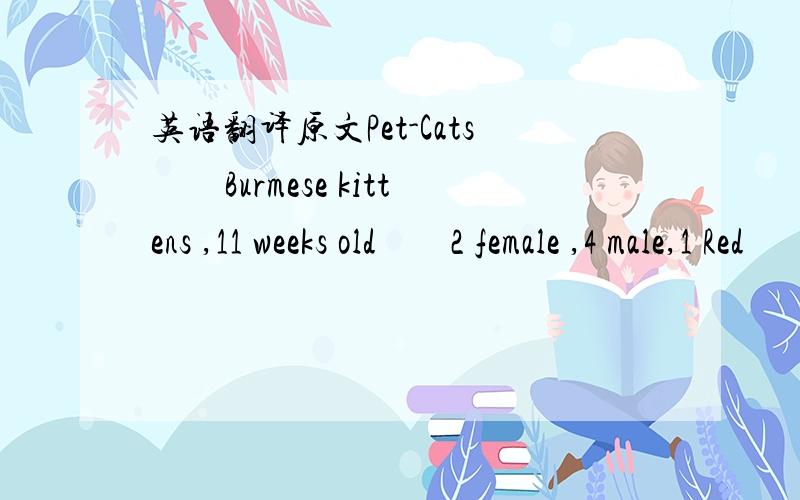 英语翻译原文Pet-Cats　　Burmese kittens ,11 weeks old　　2 female ,4 male,1 Red　　Others various colours　　Gentle and registered(注册)＄250　　Sandy 555-0001 mornings