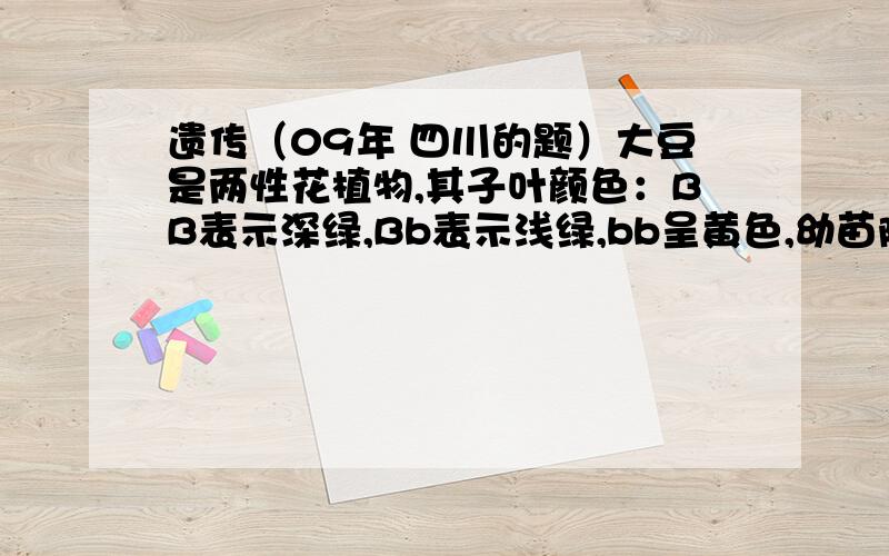 遗传（09年 四川的题）大豆是两性花植物,其子叶颜色：BB表示深绿,Bb表示浅绿,bb呈黄色,幼苗阶段死亡.用子叶深绿与子叶浅绿植株杂交的F1,F1随机交配得到的F2成熟群体中,B基因的基因频率为?