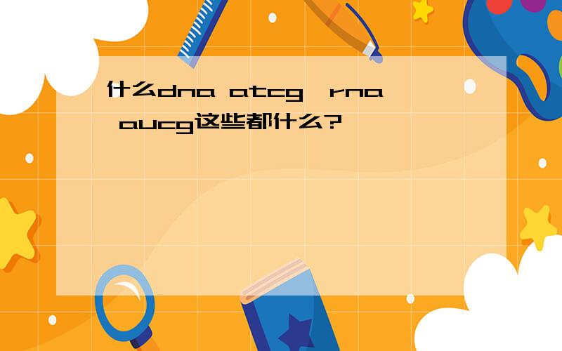 什么dna atcg,rna aucg这些都什么?