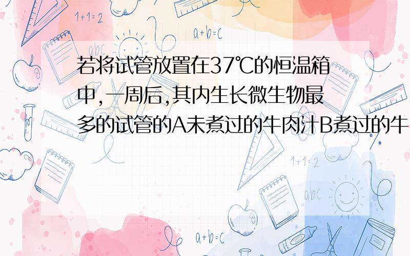 若将试管放置在37℃的恒温箱中,一周后,其内生长微生物最多的试管的A未煮过的牛肉汁B煮过的牛肉汁