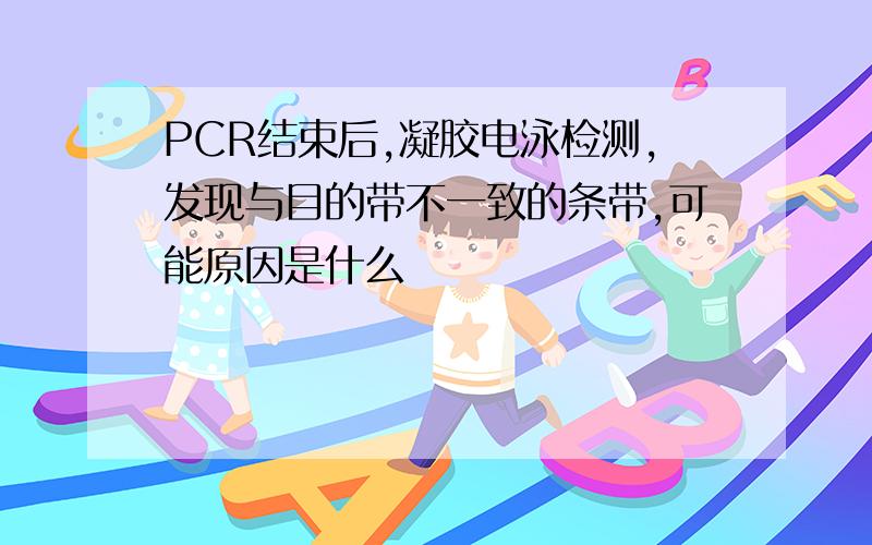 PCR结束后,凝胶电泳检测,发现与目的带不一致的条带,可能原因是什么