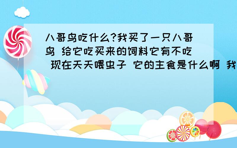 八哥鸟吃什么?我买了一只八哥鸟 给它吃买来的饲料它有不吃 现在天天喂虫子 它的主食是什么啊 我上网查的那些它都不吃我这山区地方没卖专门喂八哥的饲料 如果光吃虫子会怎样?我有时还