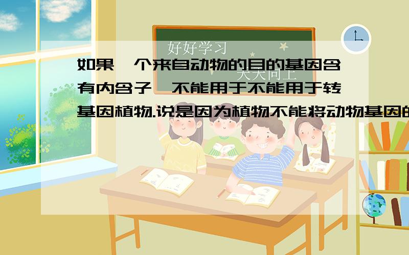 如果一个来自动物的目的基因含有内含子,不能用于不能用于转基因植物.说是因为植物不能将动物基因的内含子切掉.不能切掉又能怎么样呢?不是还可以照样转录mRNA表达cDNA啊?为什么就不能用