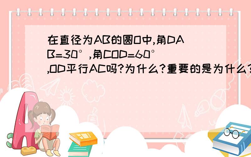 在直径为AB的圆O中,角DAB=30°,角COD=60°,OD平行AC吗?为什么?重要的是为什么?