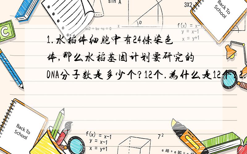 1.水稻体细胞中有24条染色体,那么水稻基因计划要研究的DNA分子数是多少个?12个.为什么是12个?2.外显子所含的碱基数为什么比不编码蛋白质的序列碱基数要少?3.获取基因的“鸟枪法”为什么