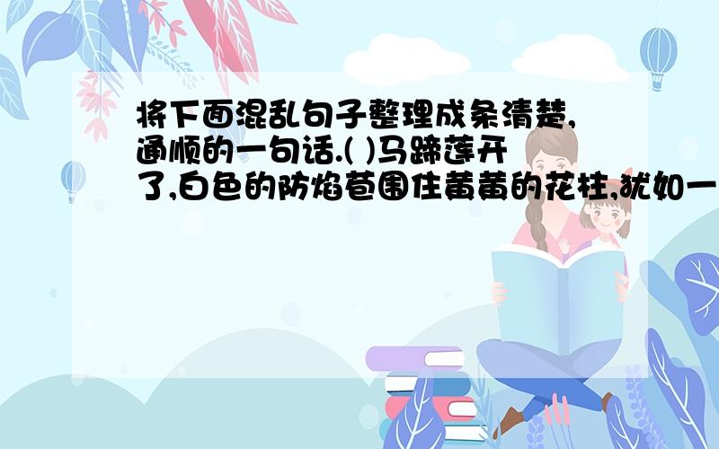 将下面混乱句子整理成条清楚,通顺的一句话.( )马蹄莲开了,白色的防焰苞围住黄黄的花柱,犹如一尊尊银装素的小小纪念塔,美得端庄,美得大方.( )我爱白色的花,它让我感到圣洁,感到庄重,感到