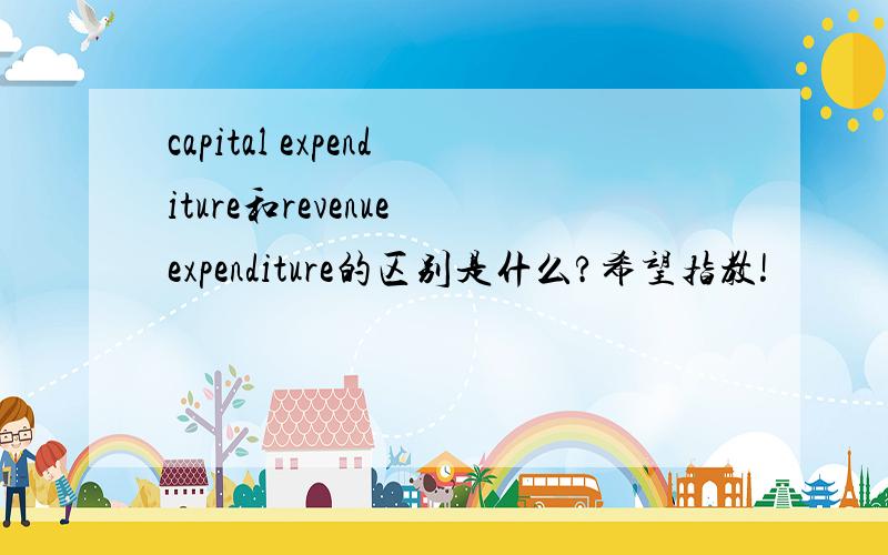 capital expenditure和revenue expenditure的区别是什么?希望指教!