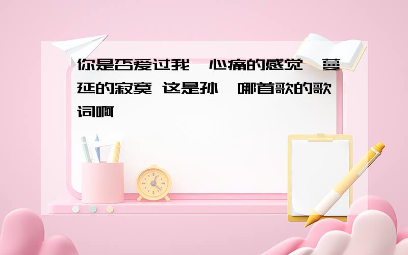 你是否爱过我,心痛的感觉,蔓延的寂寞 这是孙楠哪首歌的歌词啊