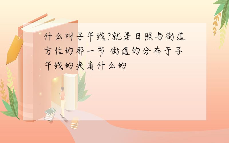 什么叫子午线?就是日照与街道方位的那一节 街道的分布于子午线的夹角什么的