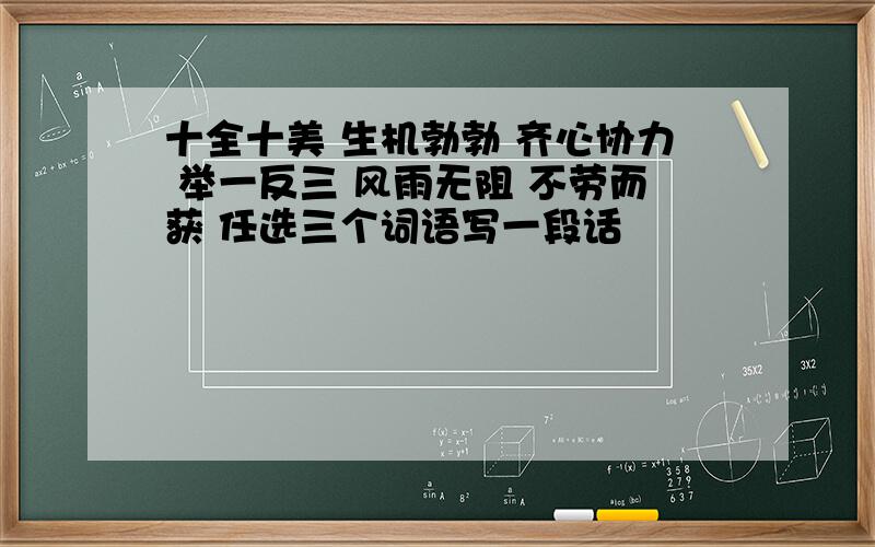 十全十美 生机勃勃 齐心协力 举一反三 风雨无阻 不劳而获 任选三个词语写一段话