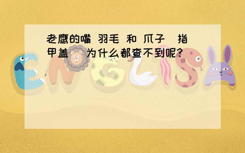 老鹰的嘴 羽毛 和 爪子（指甲盖） 为什么都查不到呢?