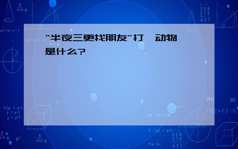 “半夜三更找朋友”打一动物,是什么?