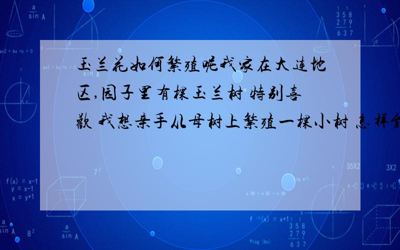 玉兰花如何繁殖呢我家在大连地区,园子里有棵玉兰树 特别喜欢 我想亲手从母树上繁殖一棵小树 怎样能繁殖呢 根据 大连气候什么时候繁殖合适呢