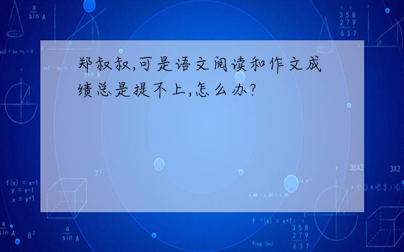 郑叔叔,可是语文阅读和作文成绩总是提不上,怎么办?