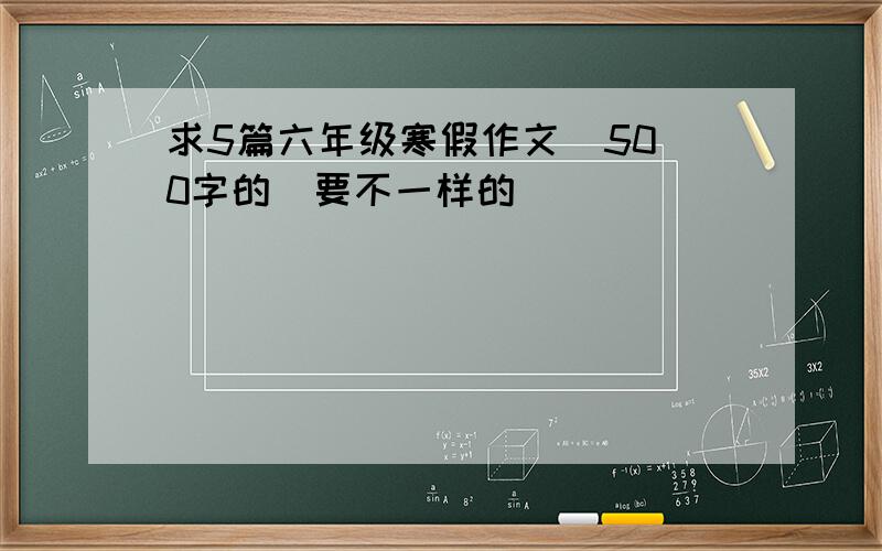 求5篇六年级寒假作文  500字的（要不一样的）